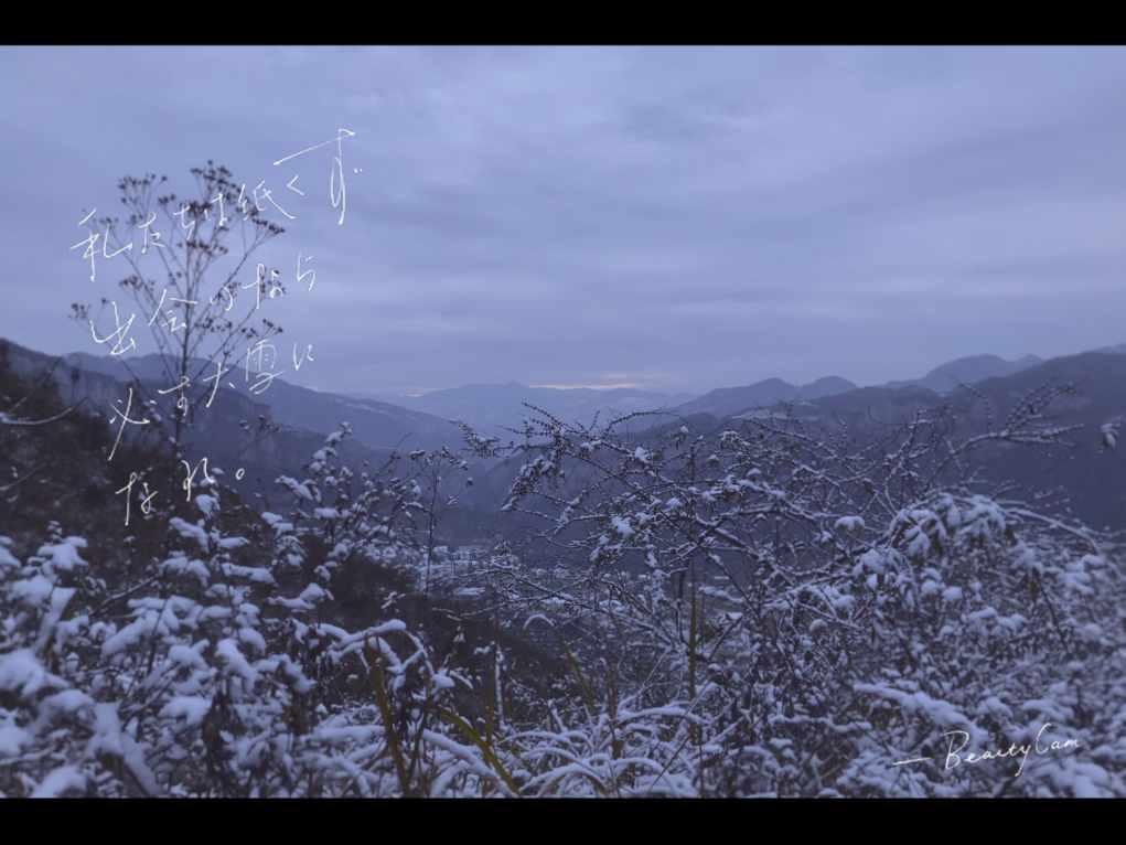 催收能爆通讯录里朋友的通讯录?-专业问答平台,为您解答疑问