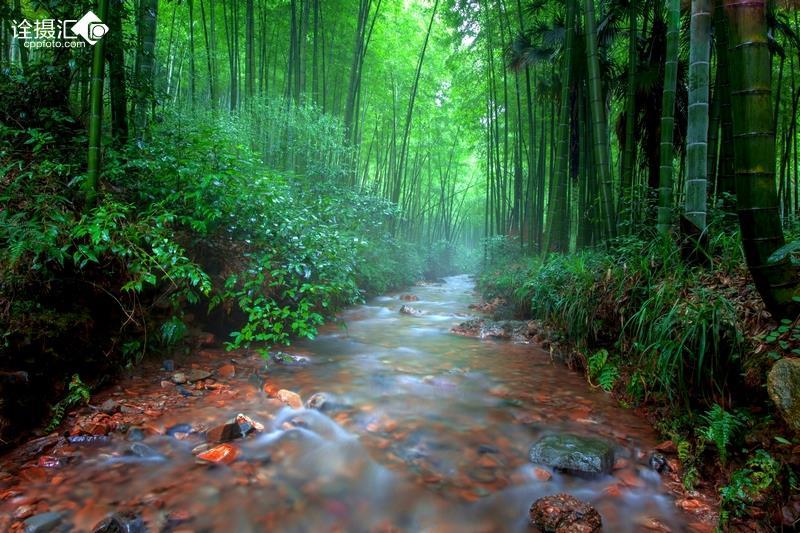 勇闯精灵大陆4