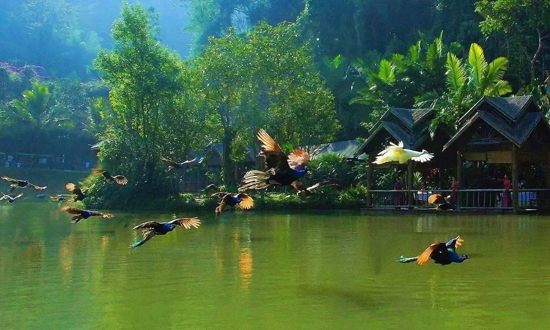 明星三缺一