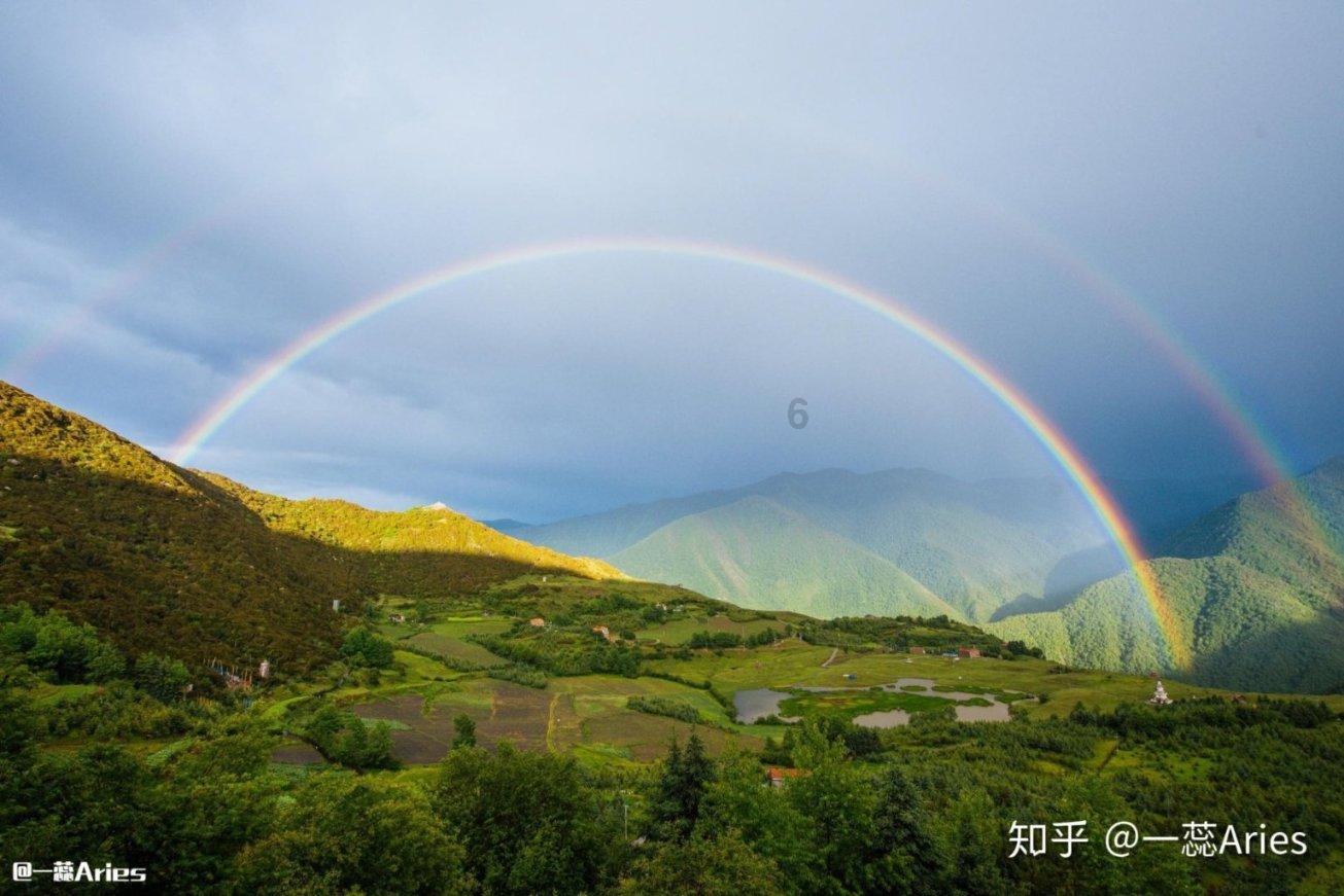 拯救昆虫群