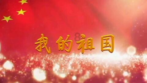 中国新能源车企十强榜