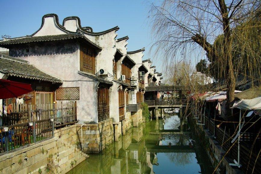 了解绿豆芽怎么发?知识星球 - 知识分享与互动社区